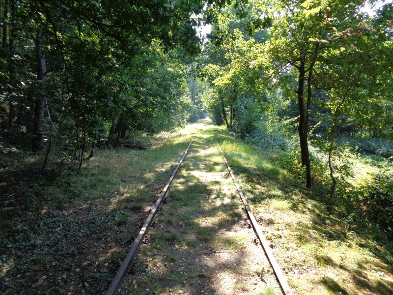 ZWNEGI9